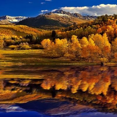 b体育必一官方下载入口截图